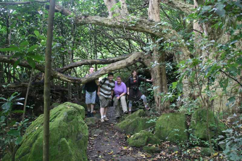 Nieuw-Zeeland 2011 - 0468
